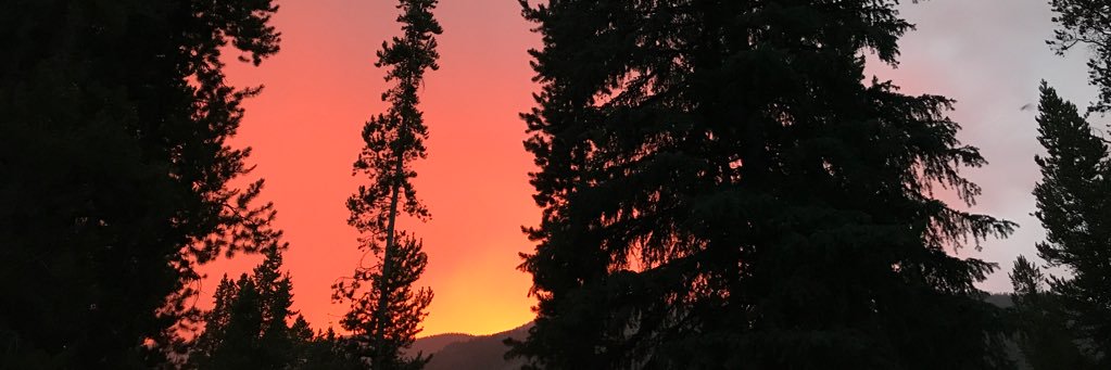 katrinabarrie's profile banner image