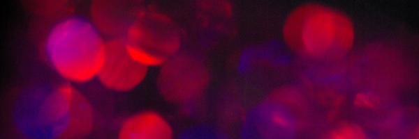 KyoMoon1's profile banner image