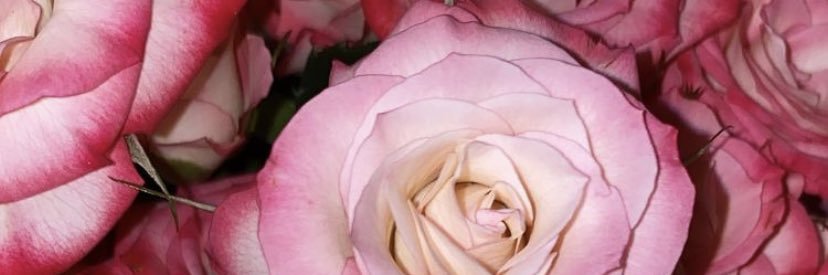Sweetz2784's profile banner image