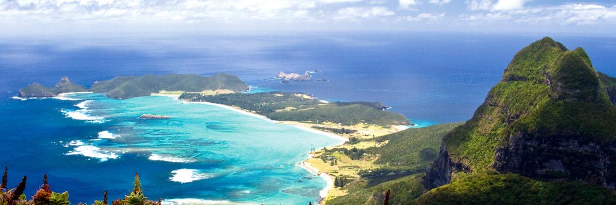 Fiona Perry ⚜ banner