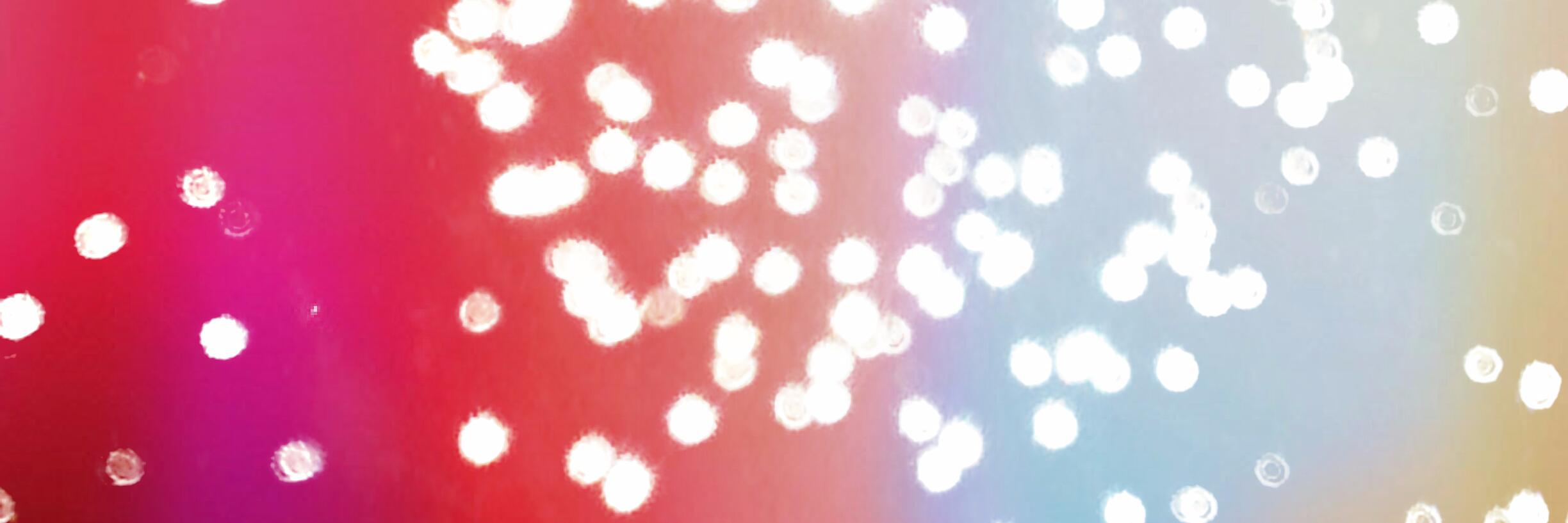 kawatabear's profile banner image