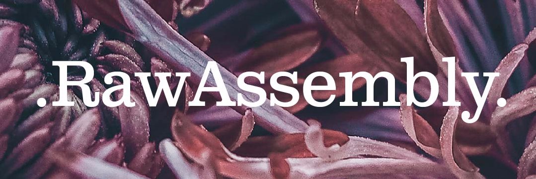 RawAssembly's profile banner image