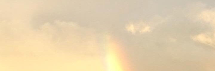 Kathy Walerius banner