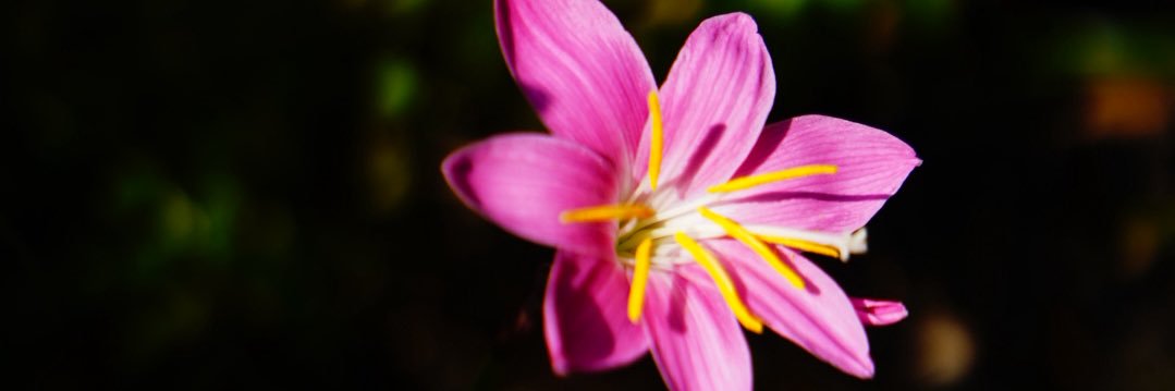 gfghjbbk's profile banner image