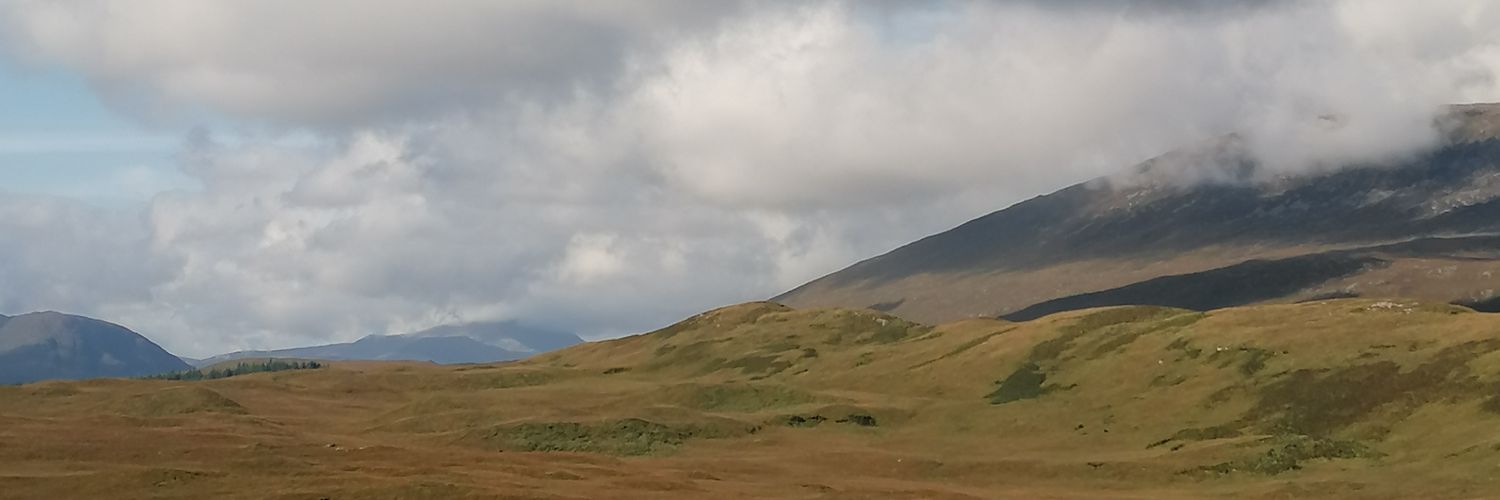 adamhnn's profile banner image