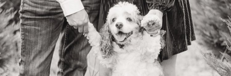 BeccaCobb1's profile banner image