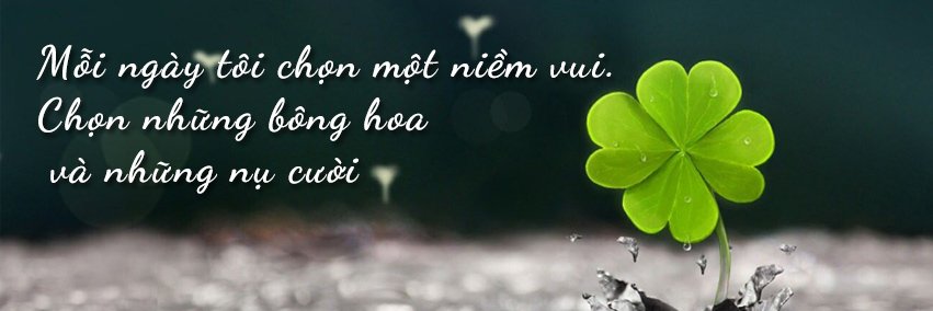 Hạ Vy banner