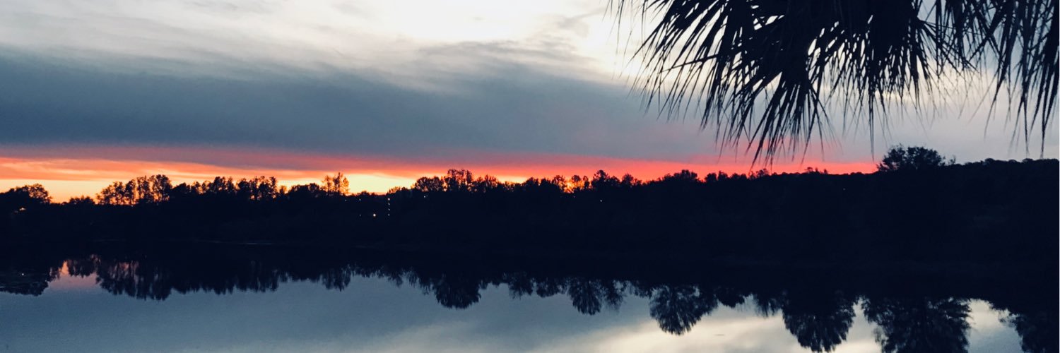 batstixgloves's profile banner image