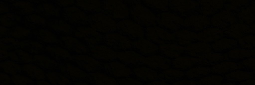 King Ploam banner
