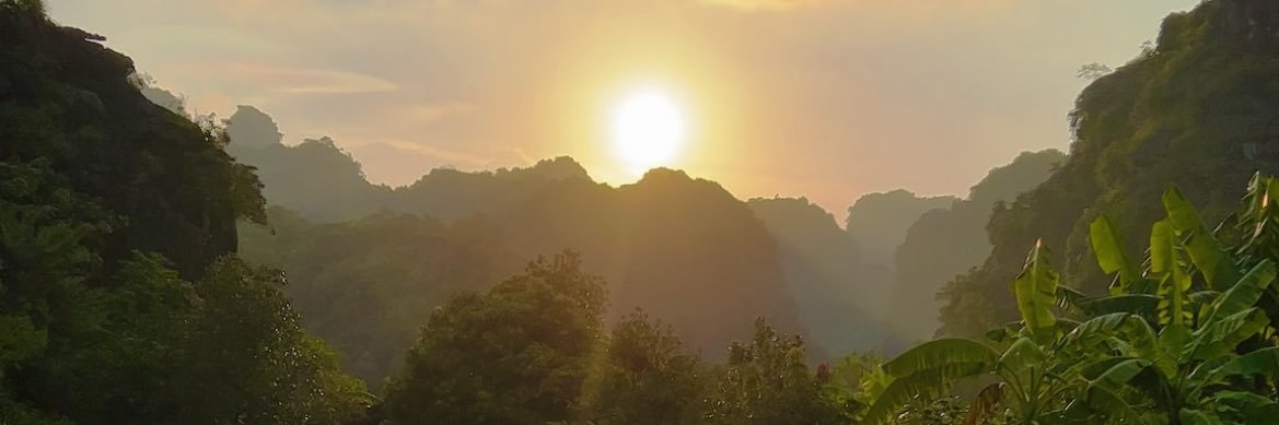 brenda_plcd's profile banner image