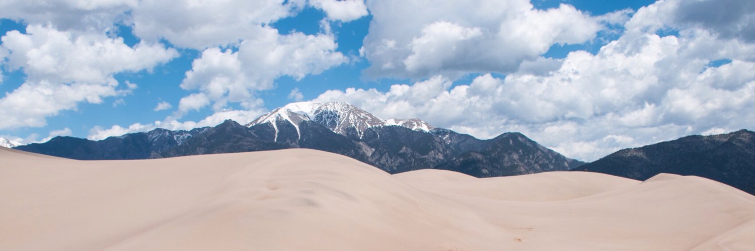 Wendy Wang banner