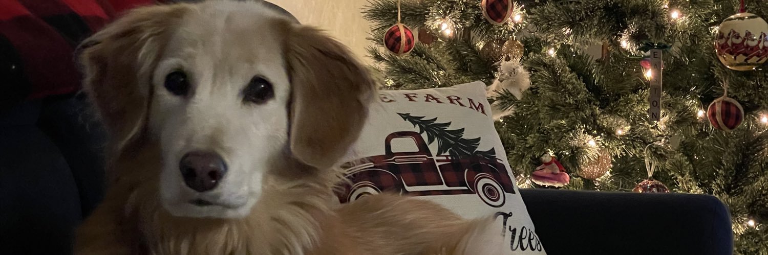Miranda P banner
