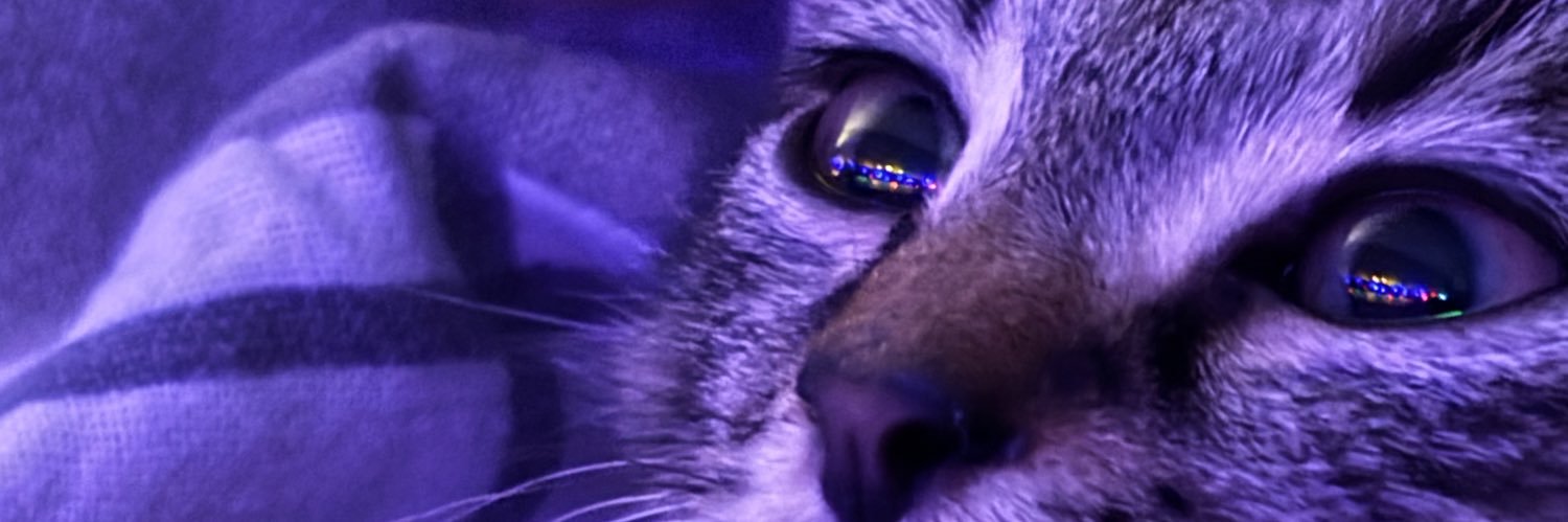 OnlyBridgette's profile banner image