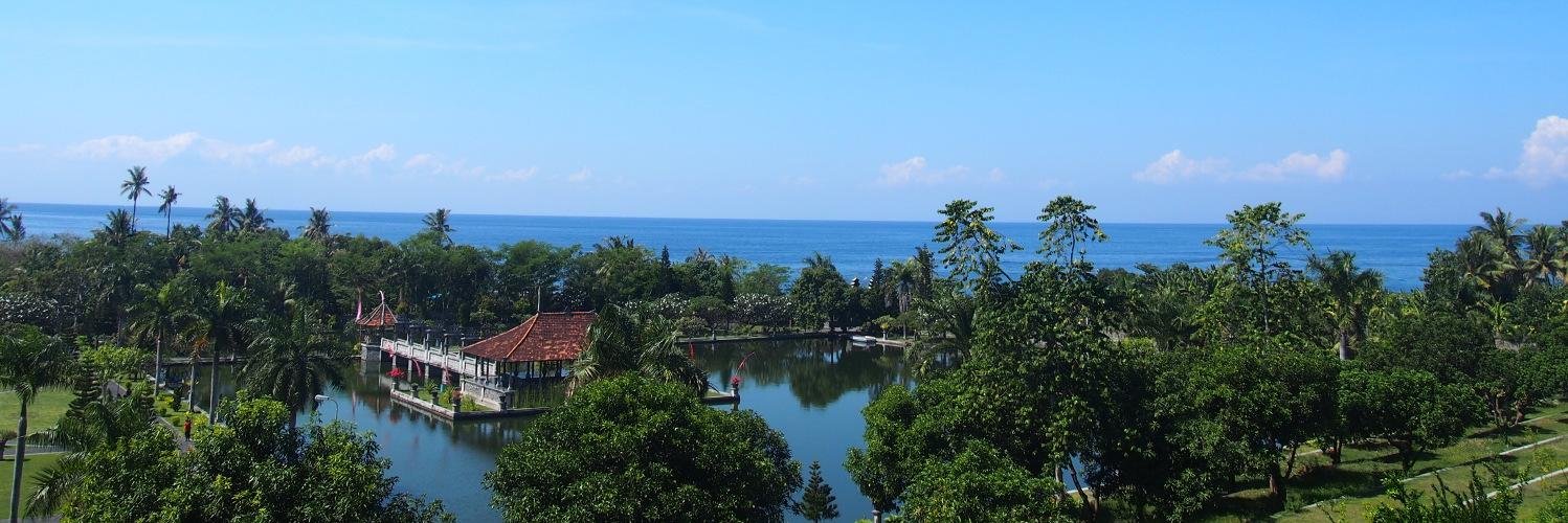 bali_carcharter's profile banner image
