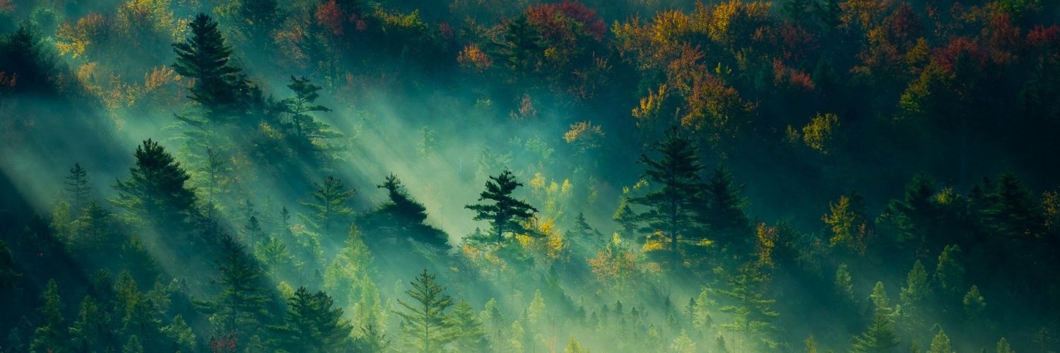 HBalbeid's profile banner image