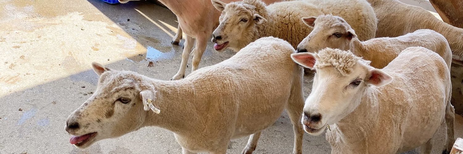 ／⚒🤝おいわ△風呂井戸🐄🌈 banner