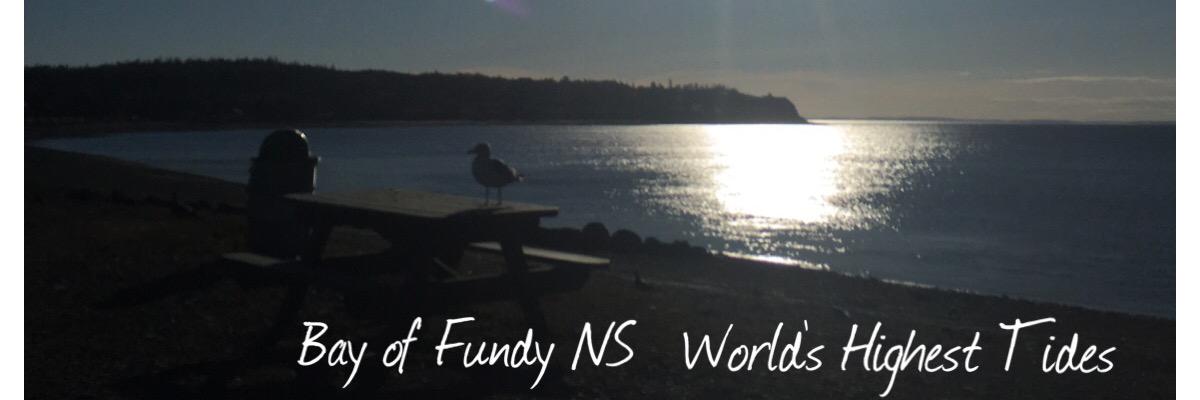 Rural Energy NS banner