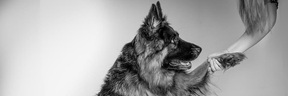 Becky286's profile banner image