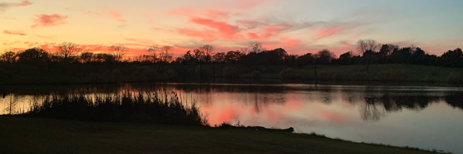 LDanielAnderson's profile banner image