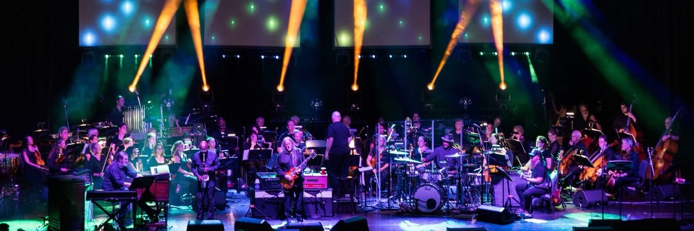 thewarrenhaynes's profile banner image