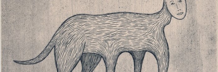 crying_donkey's profile banner image