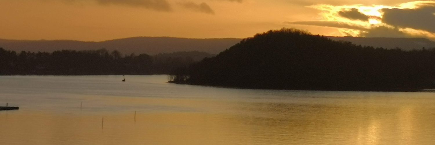 EllieMacy's profile banner image