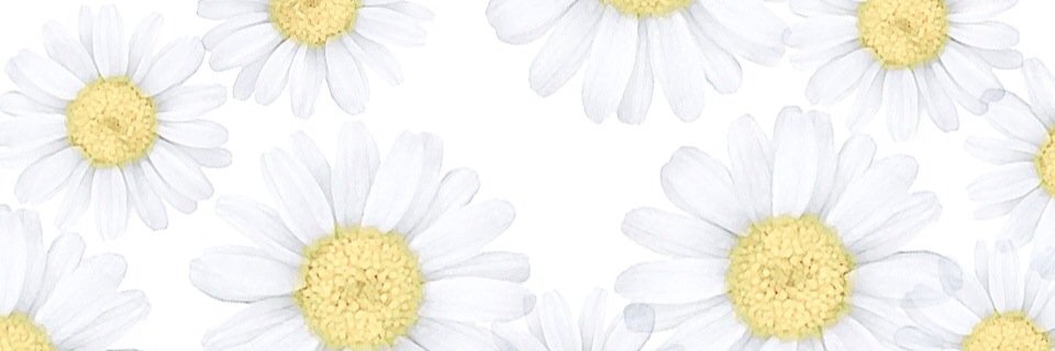 __________Mire's profile banner image