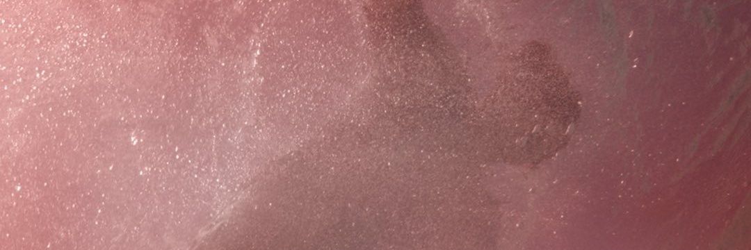 bestsofhs's profile banner image