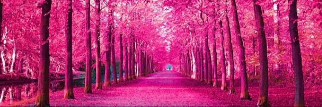 AngelaCruz7's profile banner image