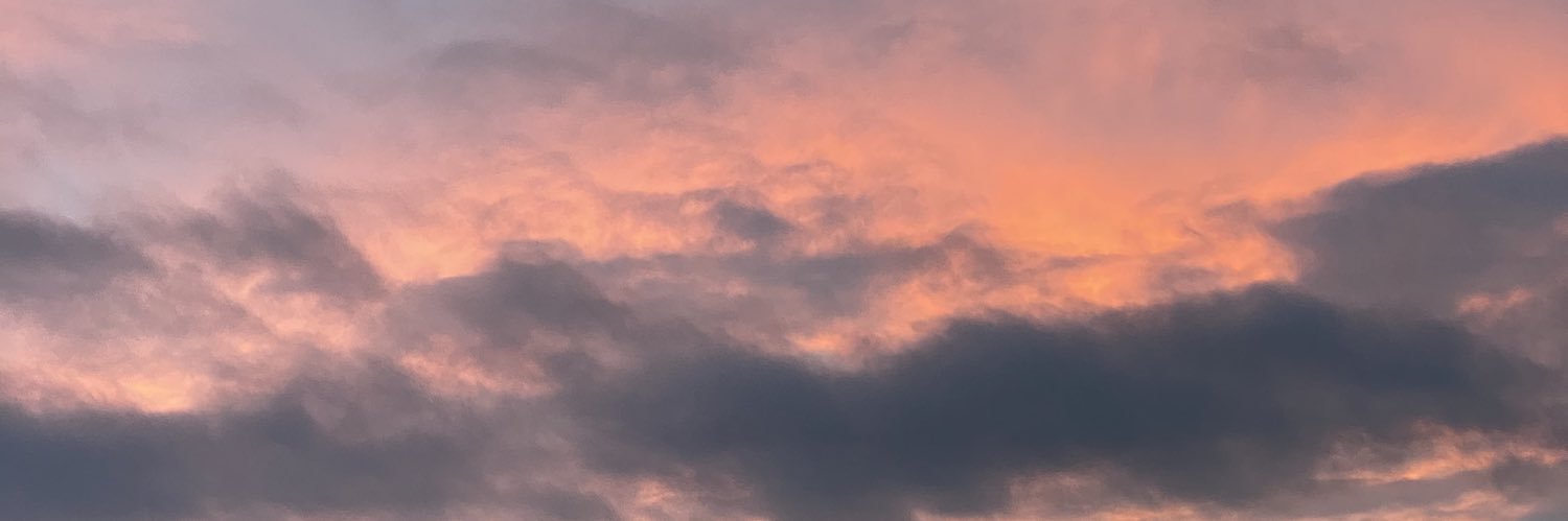 _niicole0's profile banner image