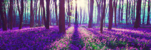 Laura_R_L's profile banner image