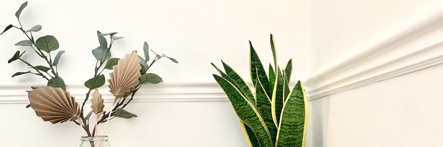 PeonyMoondrops's profile banner image