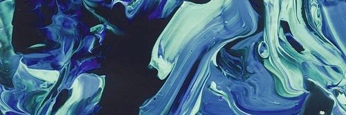 whynotnetwork's profile banner image