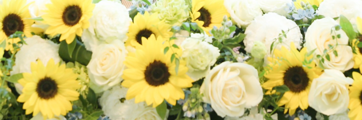 みさ✩ banner