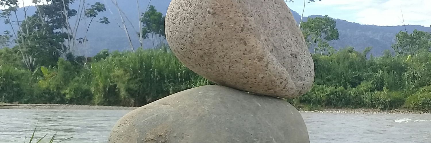 foxomike's profile banner image