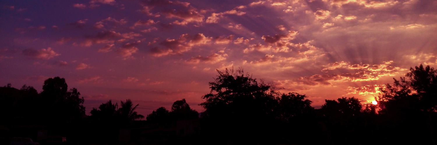 malinitinm's profile banner image