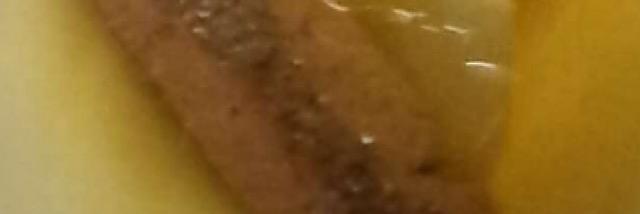 Coop_daddy32's profile banner image