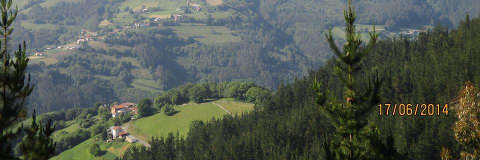 amparo garcia banner