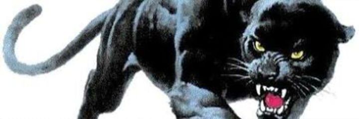 1moon6's profile banner image