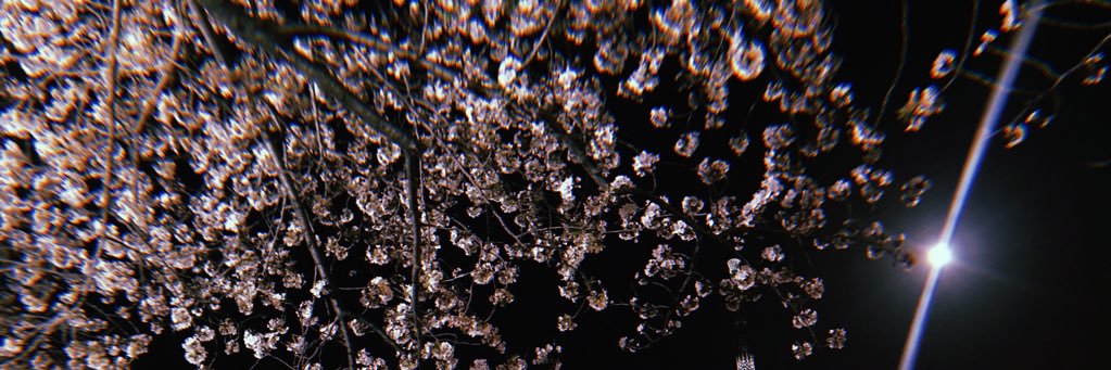 CP_asami_ist's profile banner image