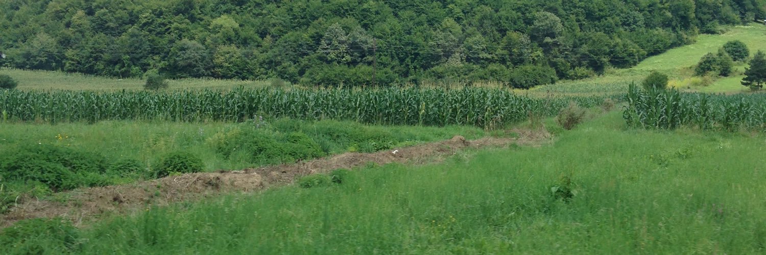 Fdfdfd2030's profile banner image