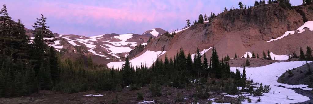 jess_beecher's profile banner image