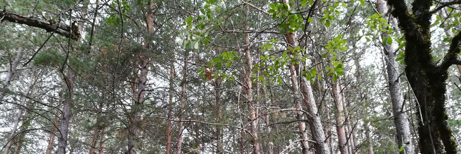 bnccnb1's profile banner image
