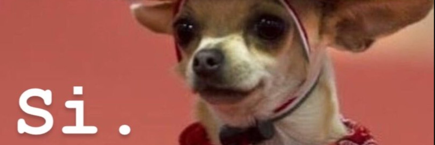 SnakeCity23's profile banner image