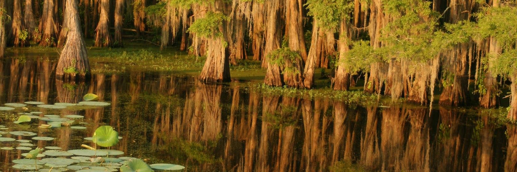 freshycrocs's profile banner image