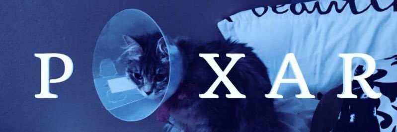 itssandywonka's profile banner image