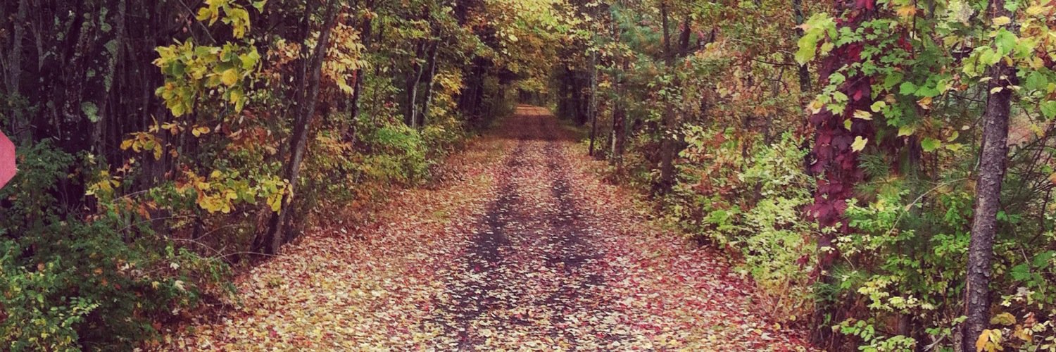 Linda Oehler-Marx, PhD banner