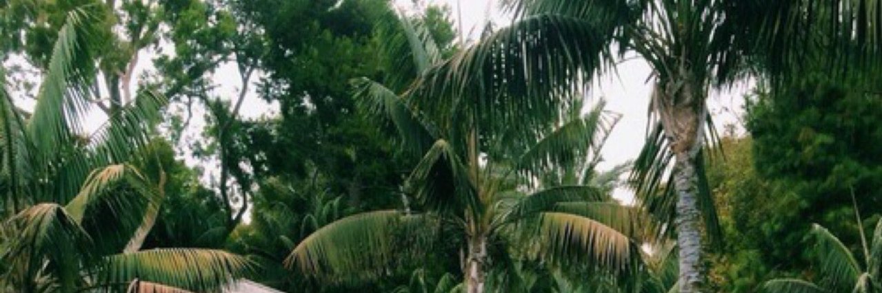 stylspn's profile banner image