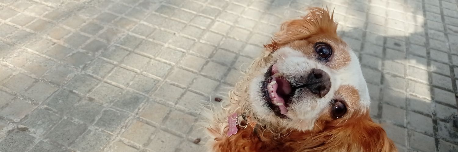 Judithomet's profile banner image
