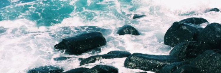 Katie__Murphy's profile banner image